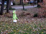 The Frog Prince REALLY likes leaves