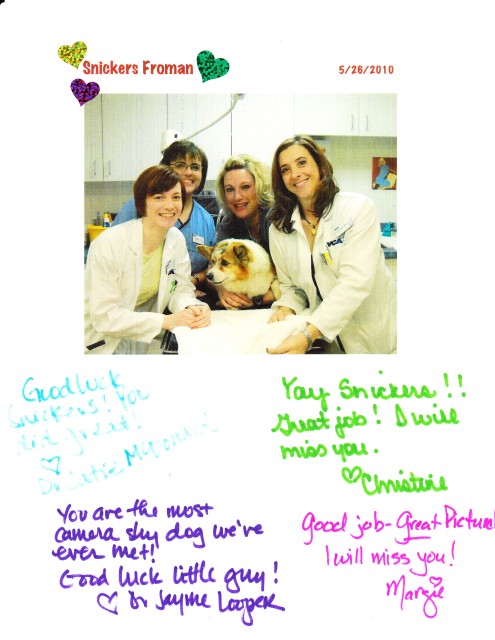 The animal hospital made a nice card for Snickies!