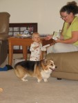 Collin and Snickers beg for food from Aunt Cindy