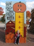 2 1/2 Pumpkins tall!
